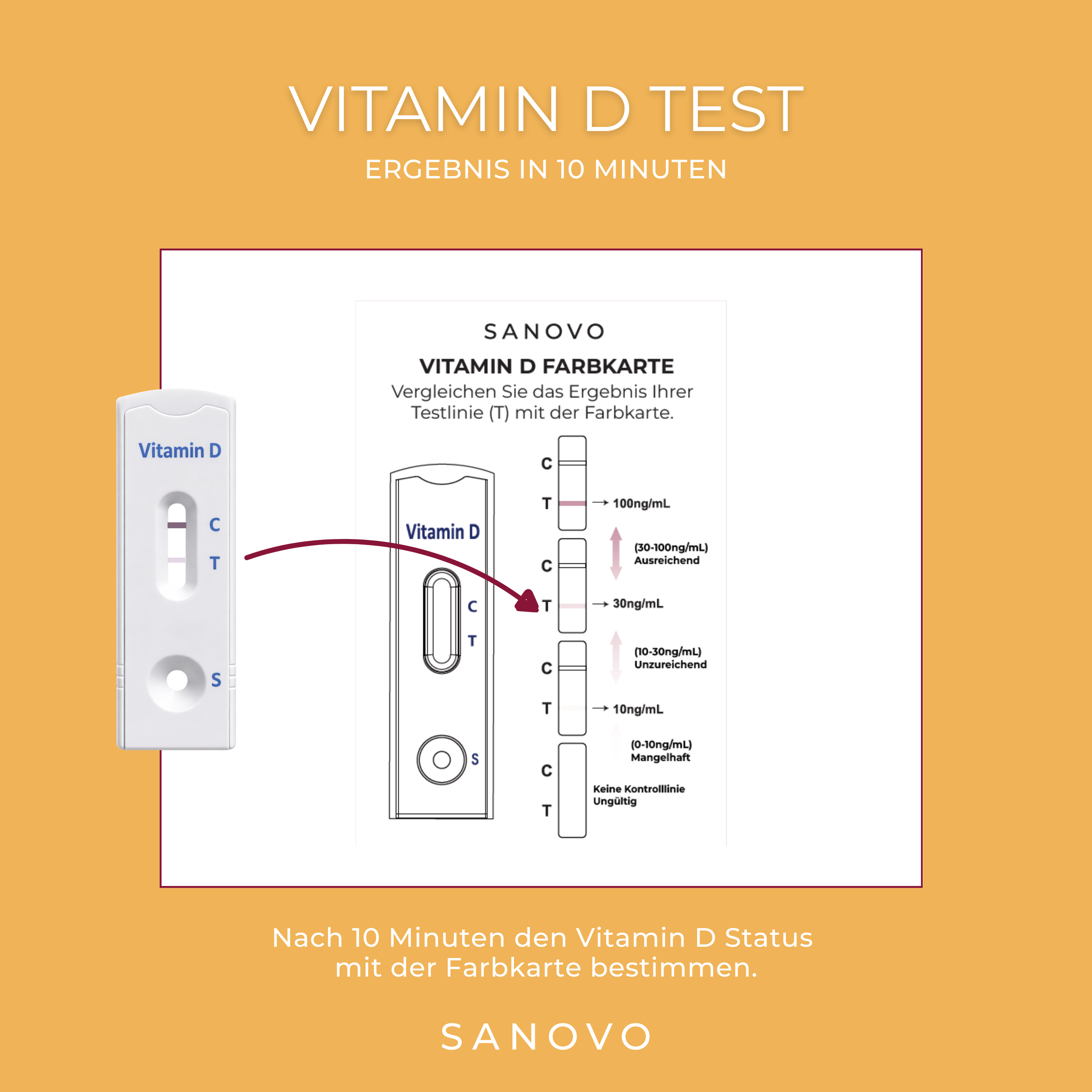 Vitamin-D-Test