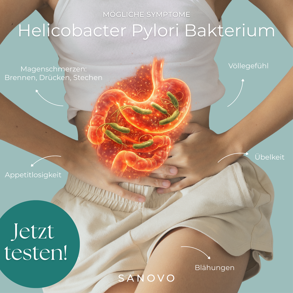 Magen Test (Helicobacter Pylori)