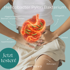 Magen Test (Helicobacter Pylori)