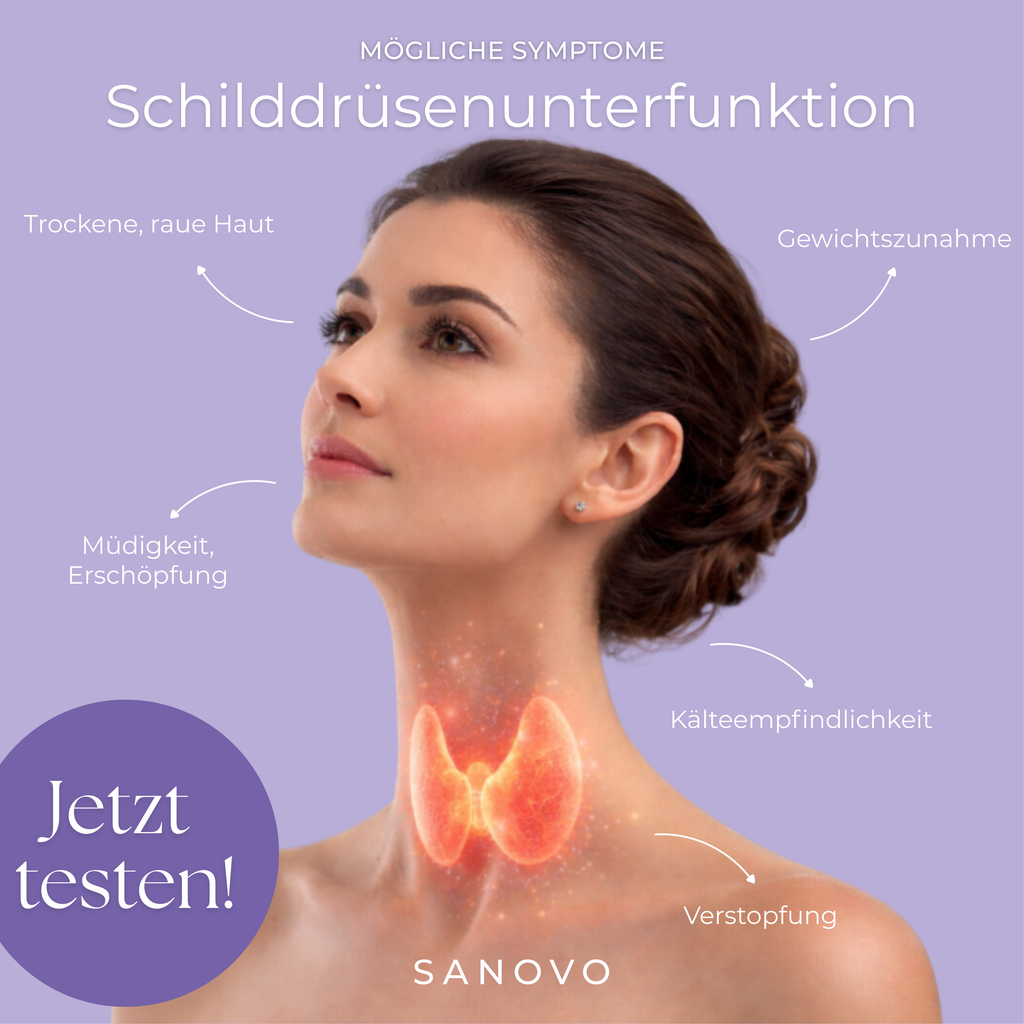 Schilddrüsen Test (TSH)